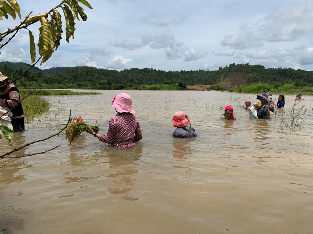 Đắk Lắk: Chủ động ứng phó với mưa lũ cho hàng nghìn người mắc kẹt ở vùng lòng hồ Krông Pách thượng (7/10/2020)
